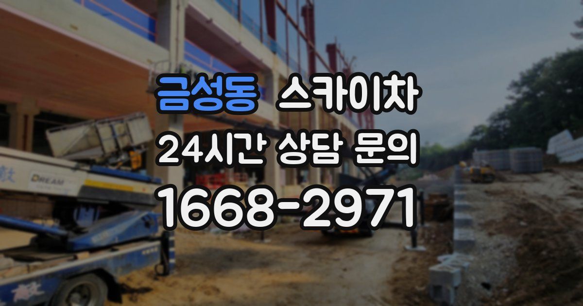 금성동 스카이차