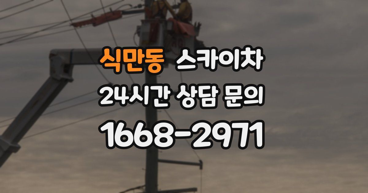 식만동 스카이차