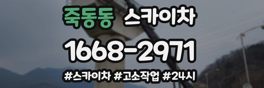 죽동동 스카이차