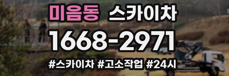 미음동 스카이차