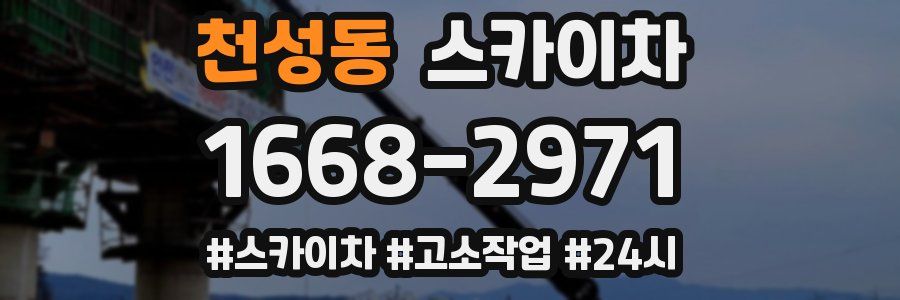 천성동 스카이차