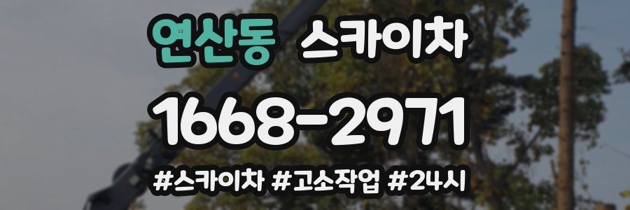 연산동 스카이차