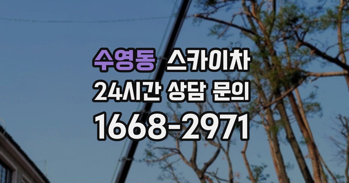 수영동 스카이차