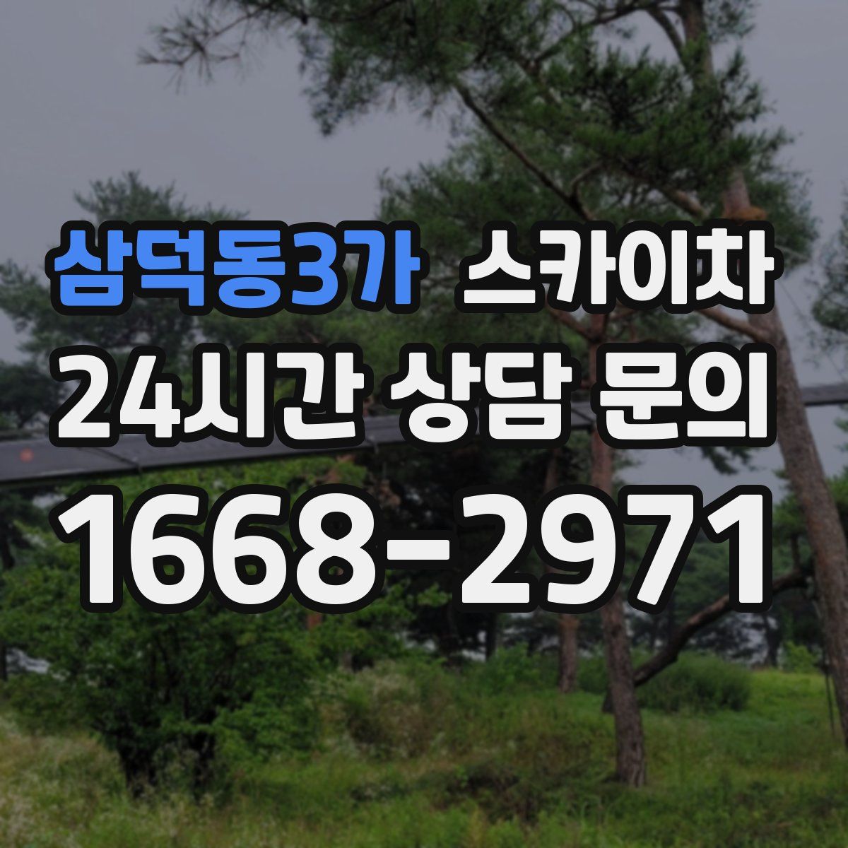 삼덕동3가 스카이차