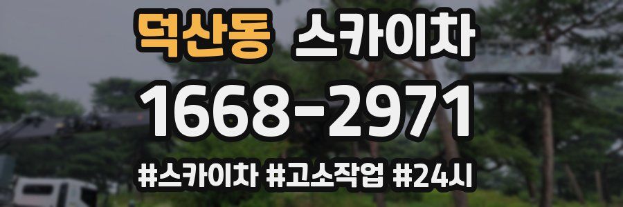 덕산동 스카이차