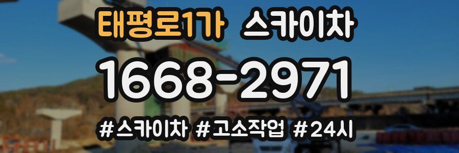 태평로1가 스카이차