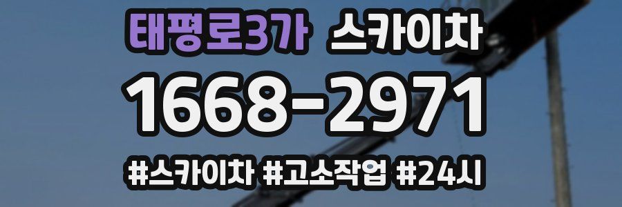 태평로3가 스카이차