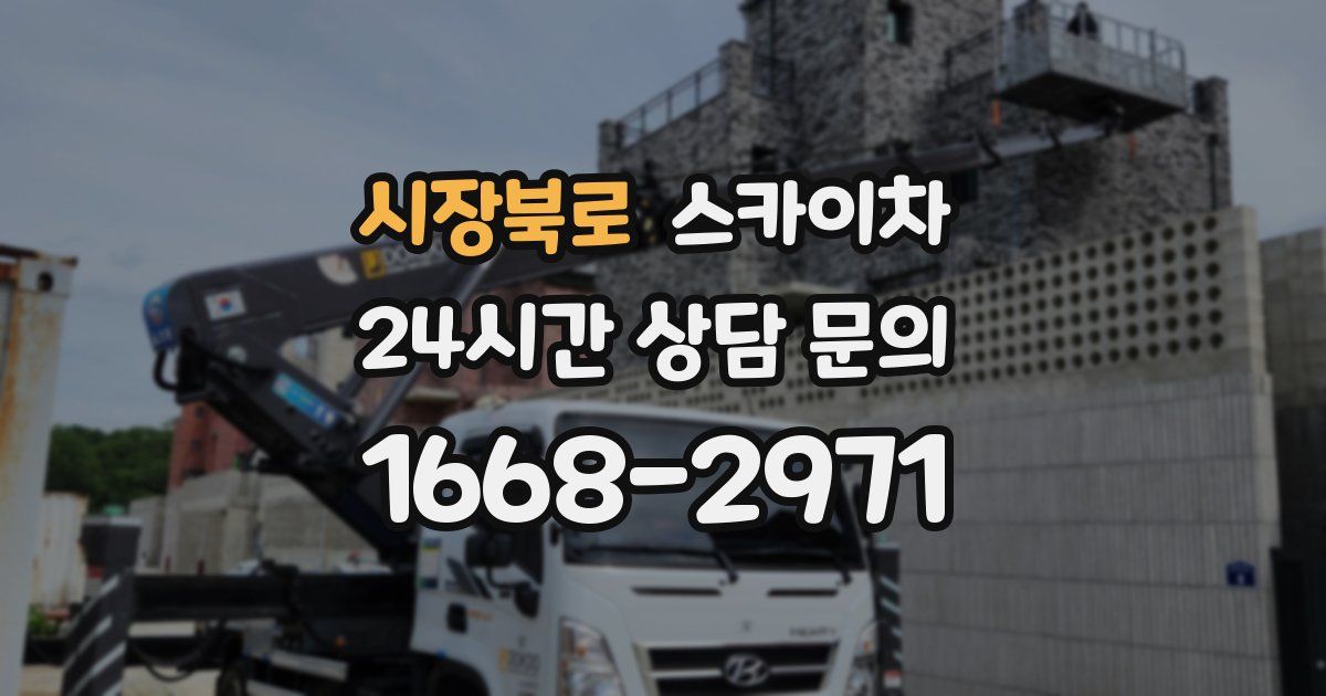 시장북로 스카이차