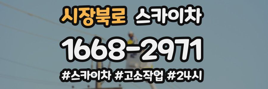 시장북로 스카이차