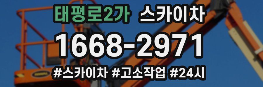 태평로2가 스카이차