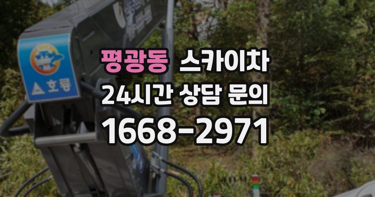 평광동 스카이차