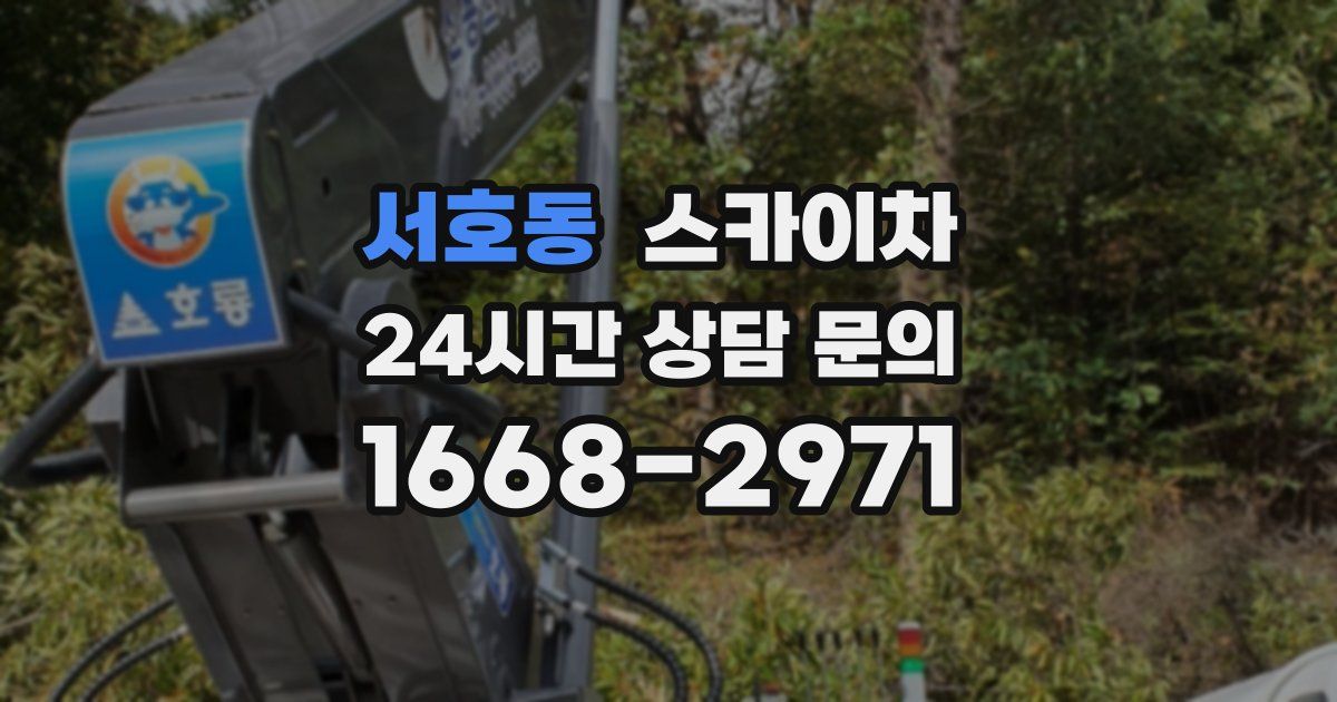 서호동 스카이차