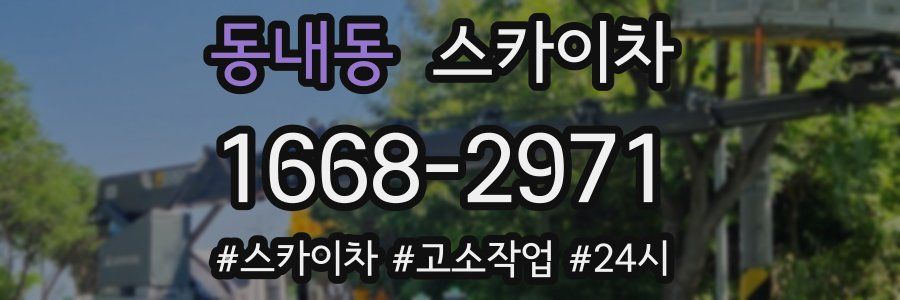 동내동 스카이차