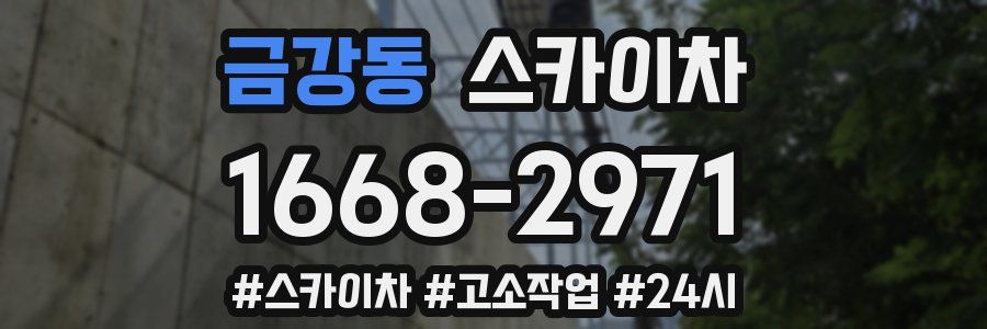 금강동 스카이차