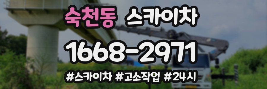 숙천동 스카이차