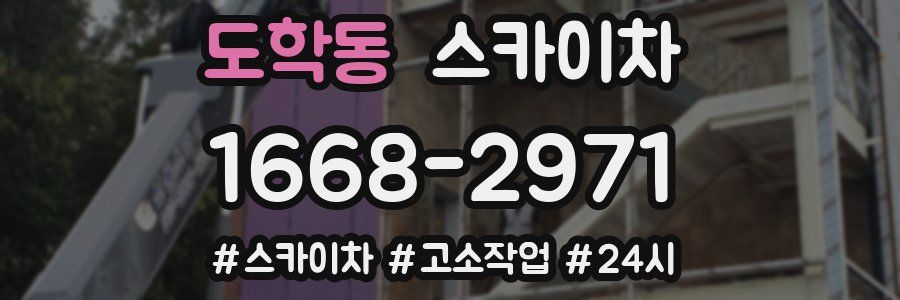 도학동 스카이차