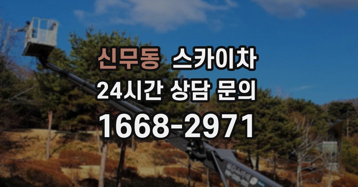 신무동 스카이차