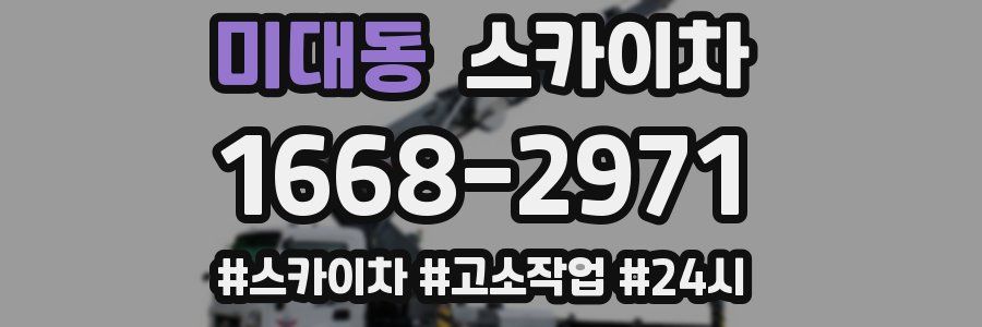 미대동 스카이차