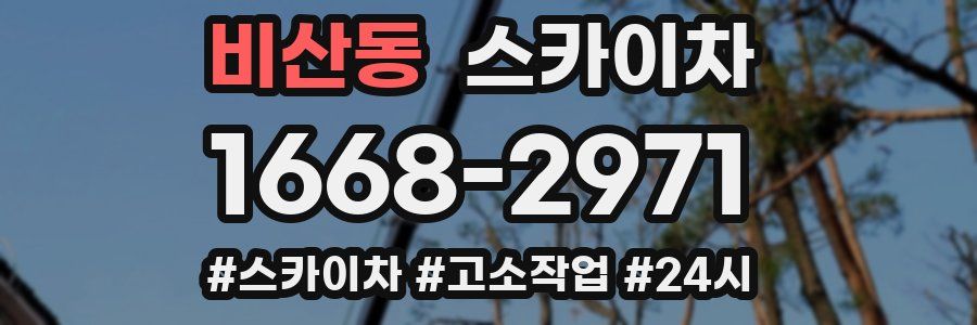 비산동 스카이차