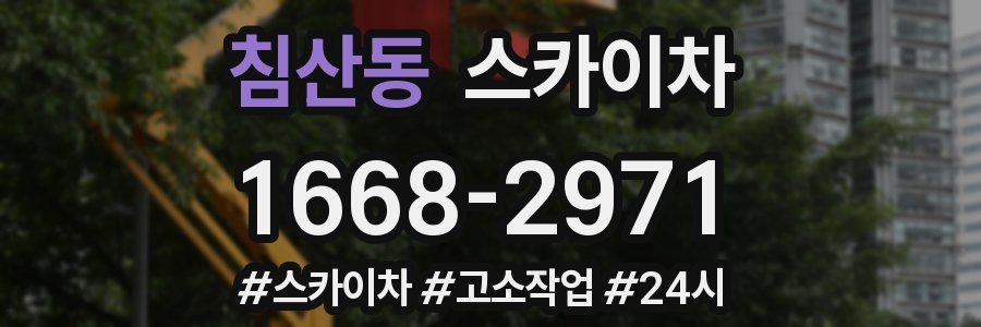 침산동 스카이차