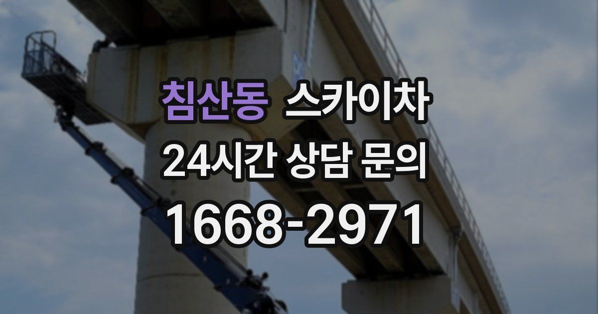 침산동 스카이차