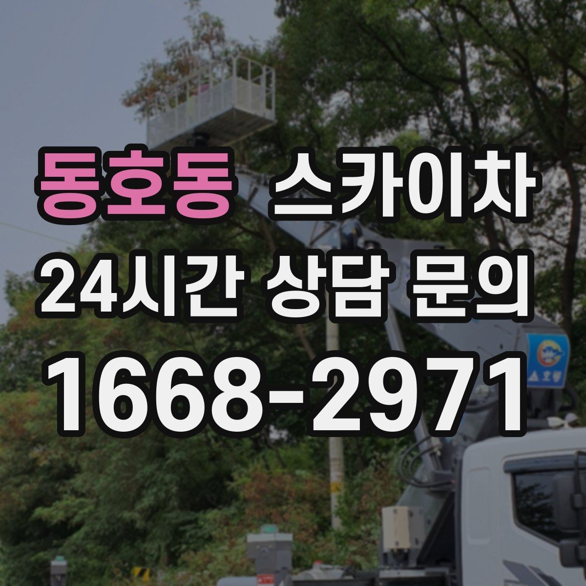 동호동 스카이차 현장 접근로가 좁을 때 확인사항