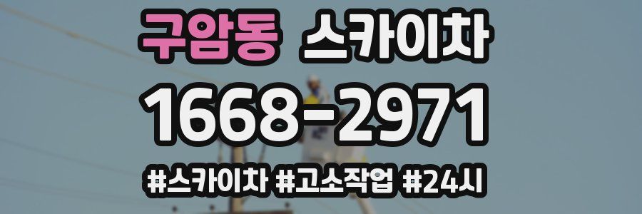 구암동 스카이차