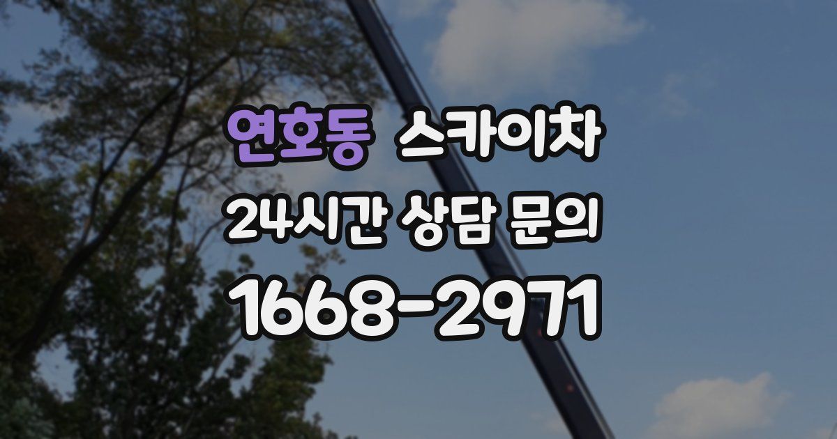 연호동 스카이차