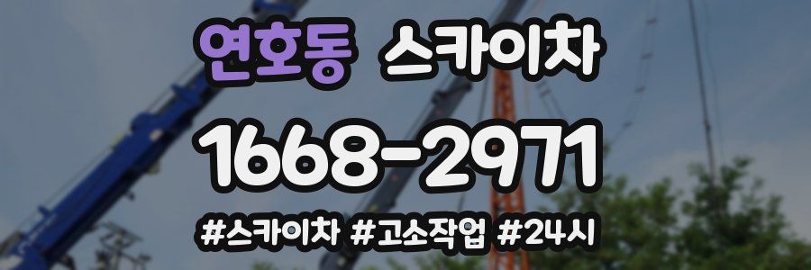 연호동 스카이차