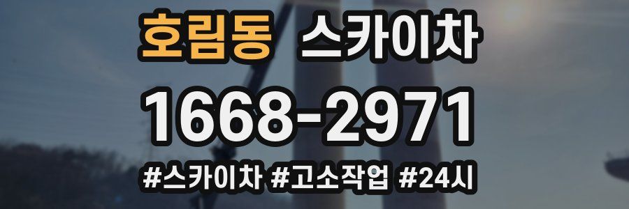 호림동 스카이차