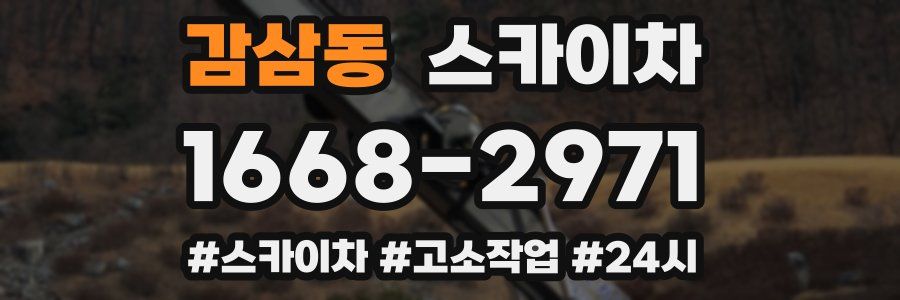 감삼동 스카이차