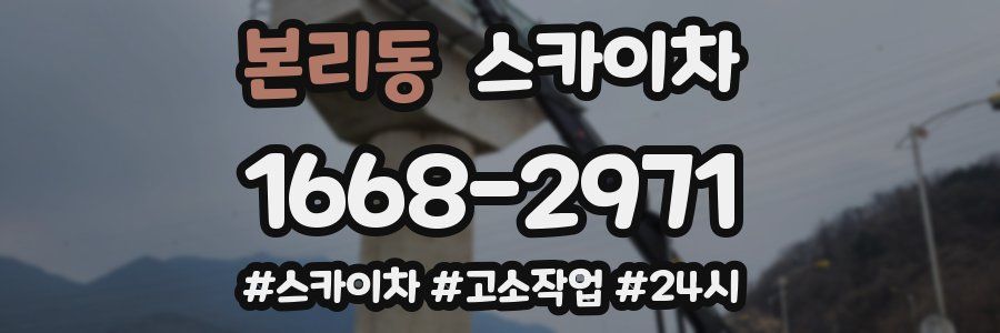 본리동 스카이차