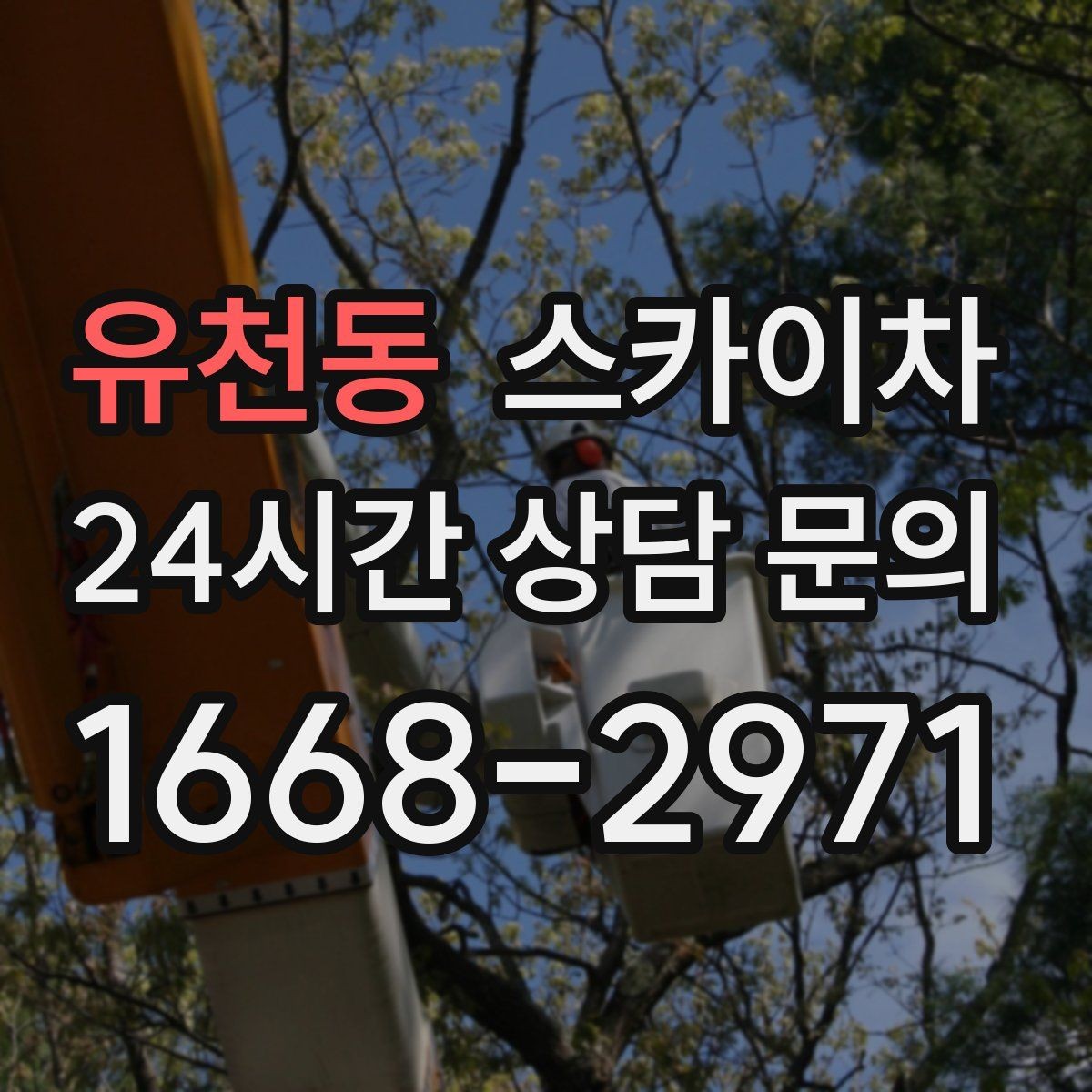 유천동 스카이차 처음 이용할 때 자주 묻는 질문(FAQ) 정리