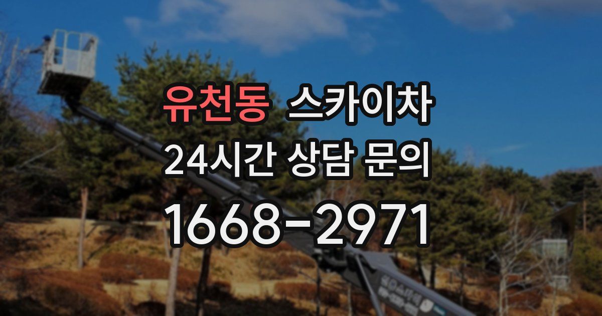 유천동 스카이차