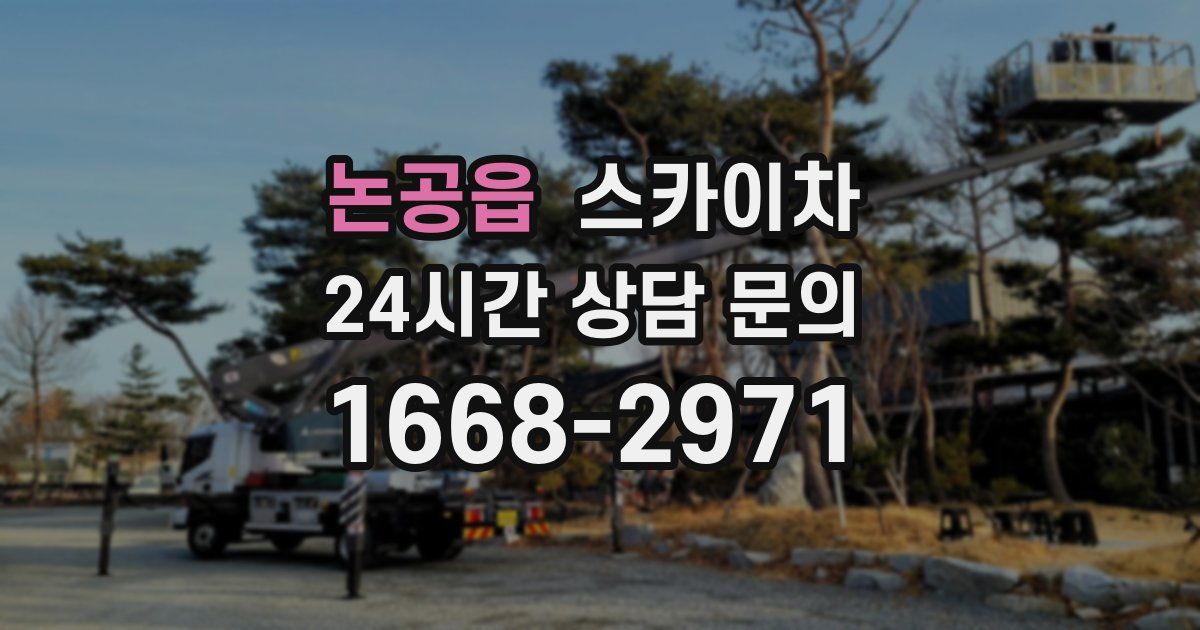 논공읍 스카이차