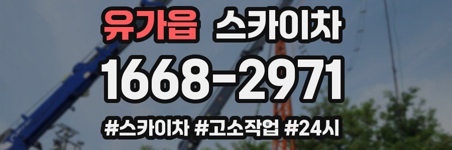 유가읍 스카이차