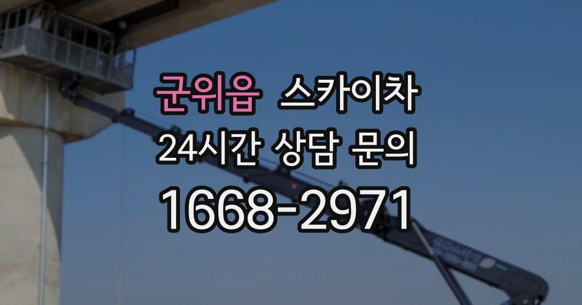 군위읍 스카이차