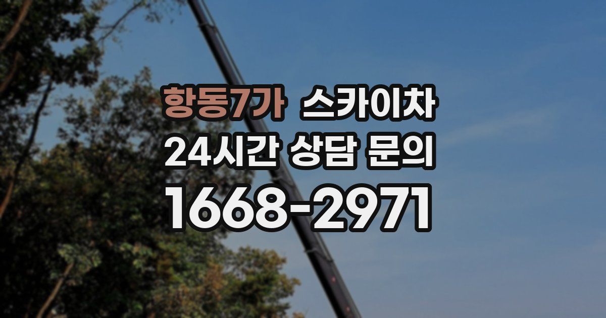 항동7가 스카이차