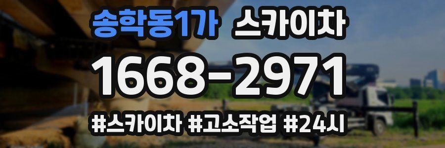 송학동1가 스카이차