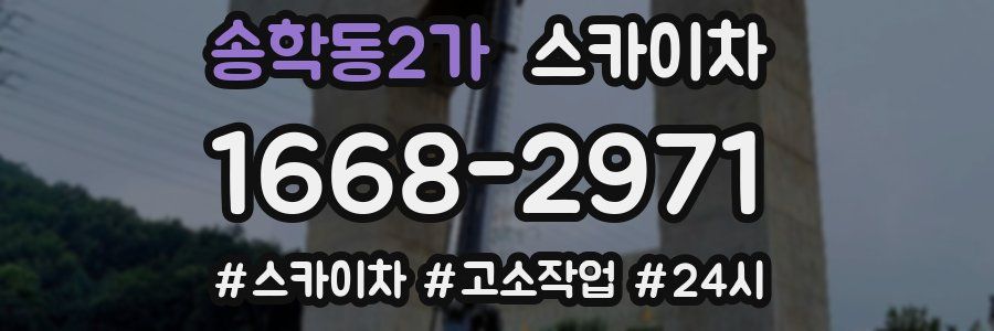 송학동2가 스카이차