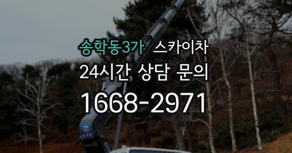 송학동3가 스카이차