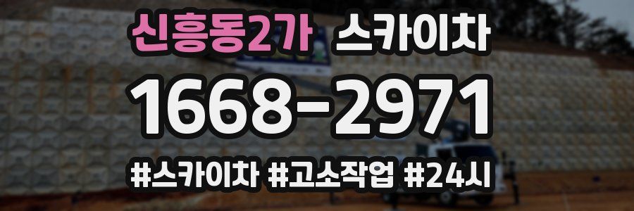 신흥동2가 스카이차
