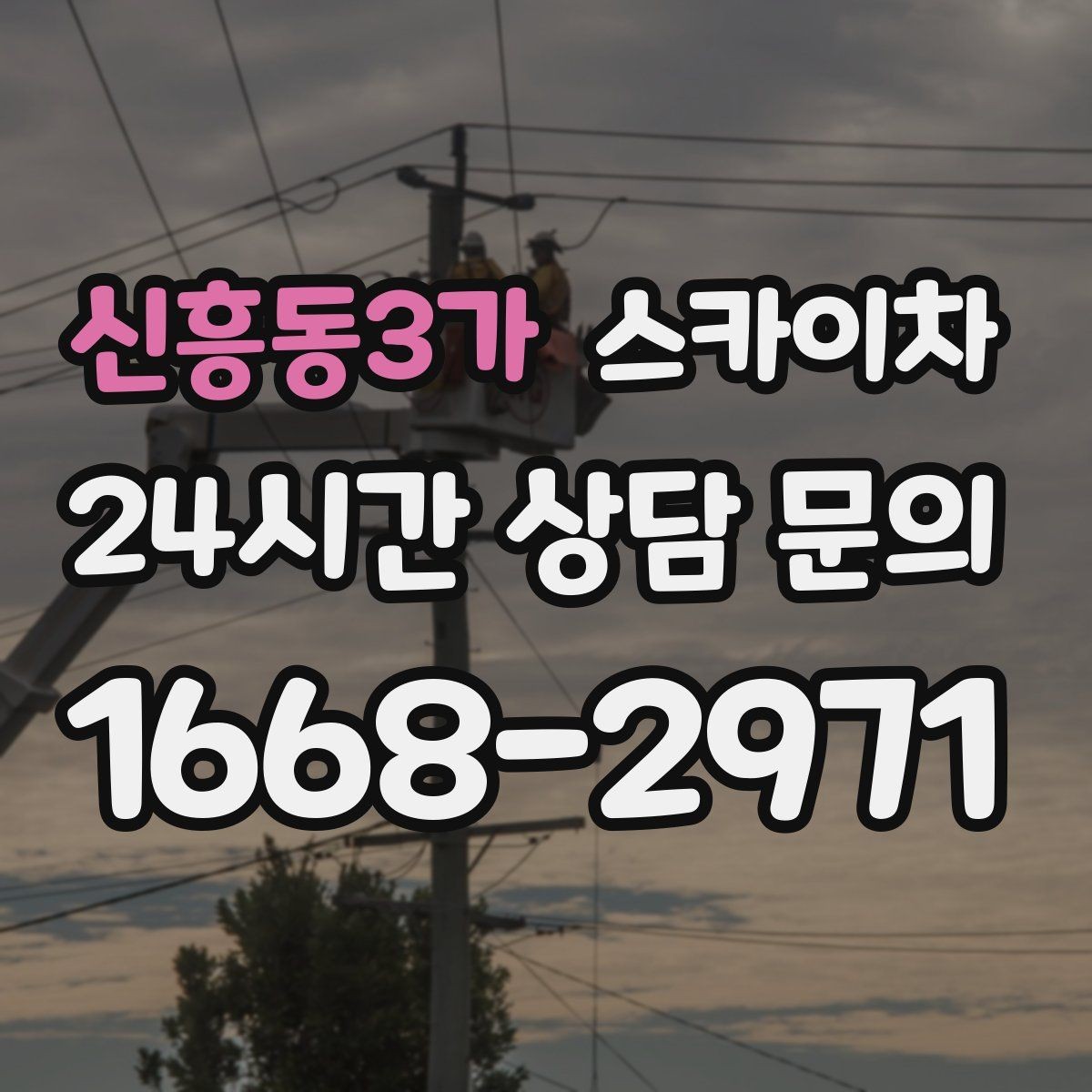 신흥동3가 스카이차 가로수 가지치기 작업 안전하게