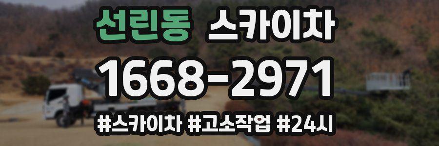 선린동 스카이차