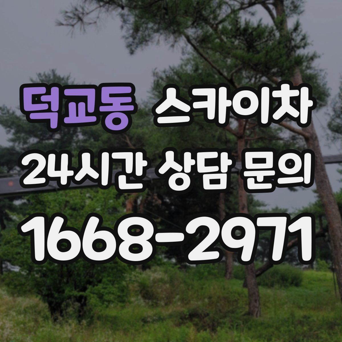 덕교동 스카이차 장비 배치와 작업 범위 확인 방법