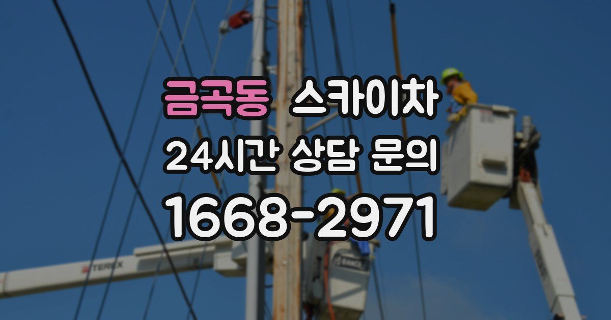 금곡동 스카이차