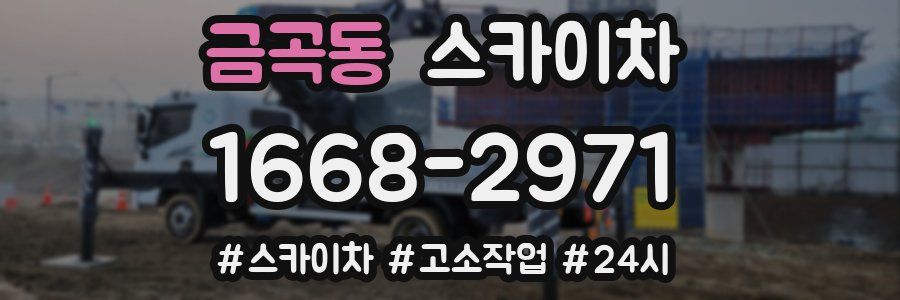 금곡동 스카이차