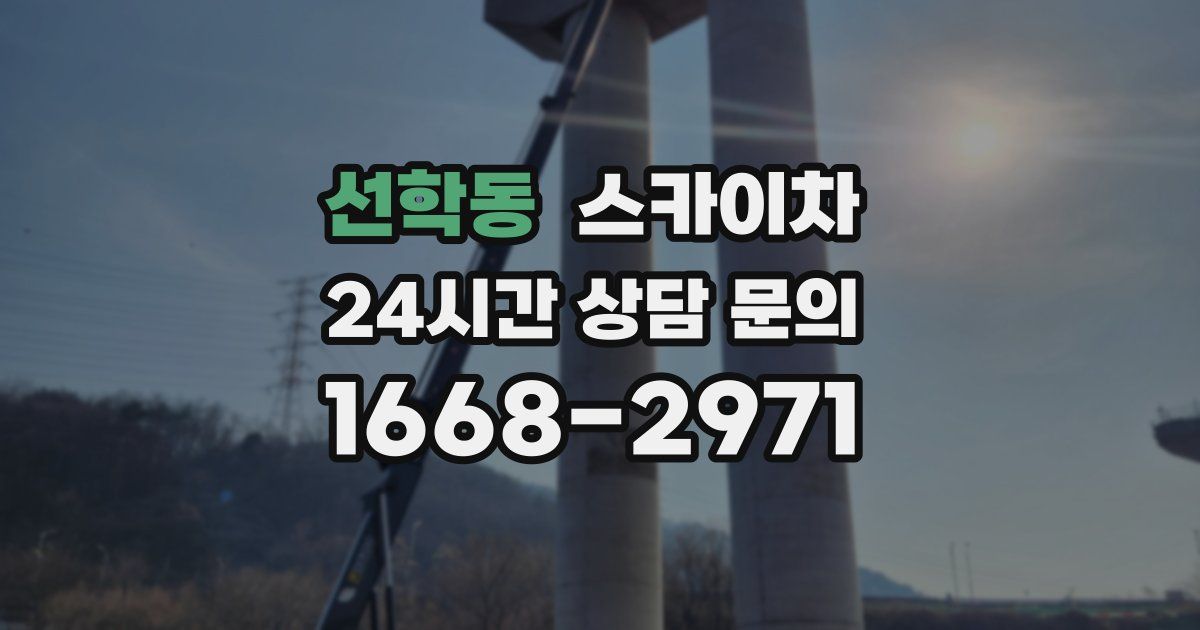 선학동 스카이차