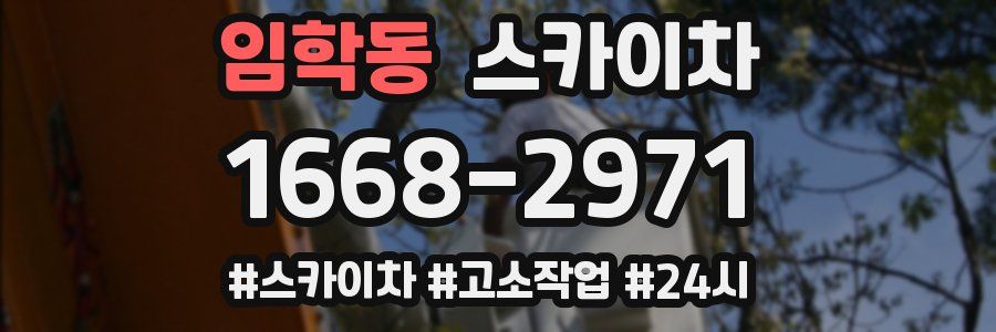 임학동 스카이차