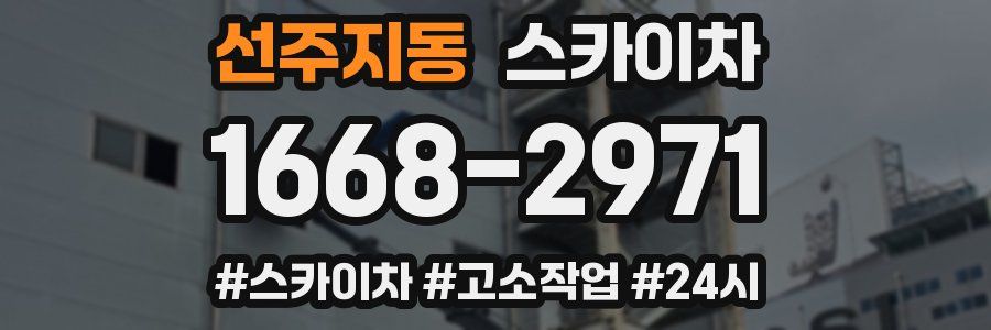 선주지동 스카이차